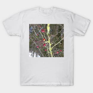 Red berries T-Shirt